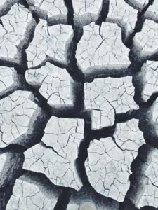 Gray and dry looking cracked ground